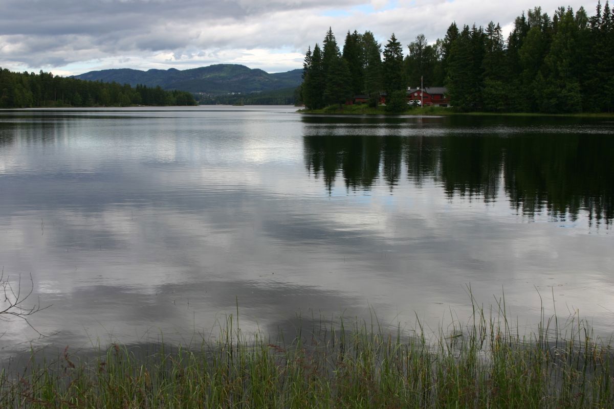 Harestuvannet fra sør