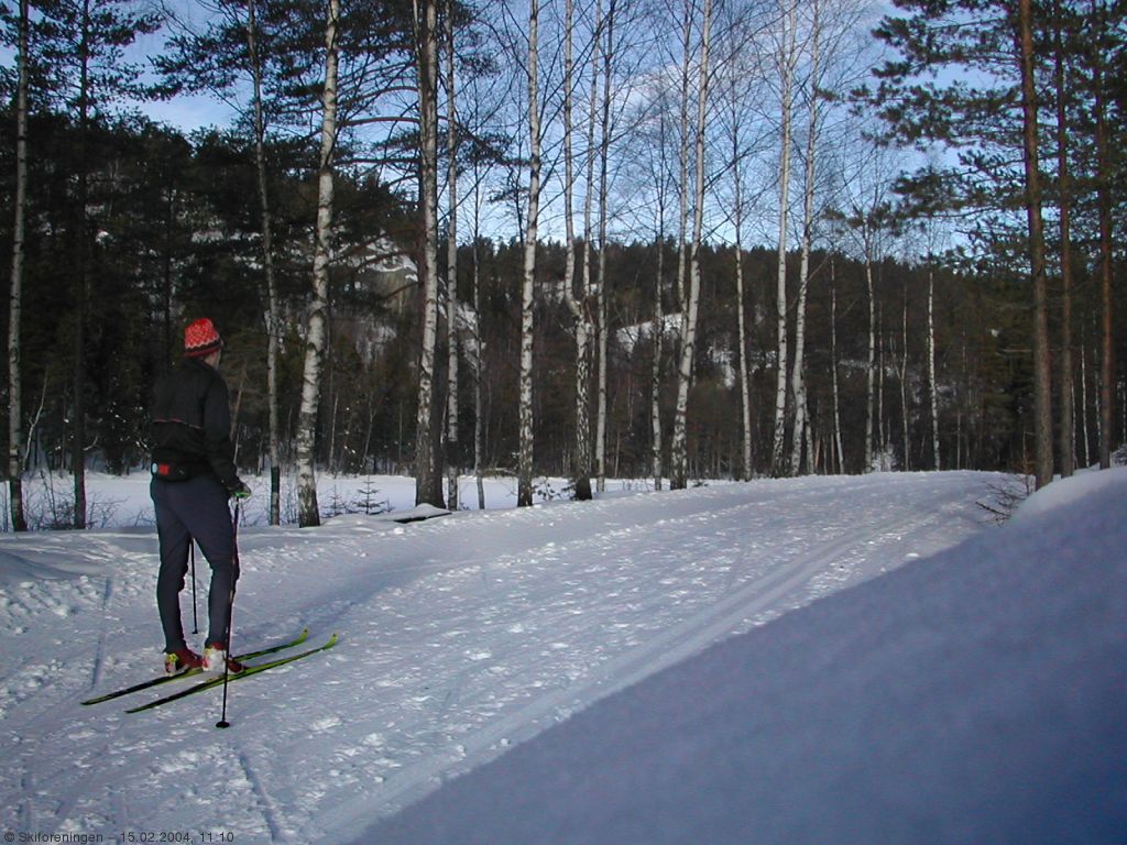 Haukåsveien