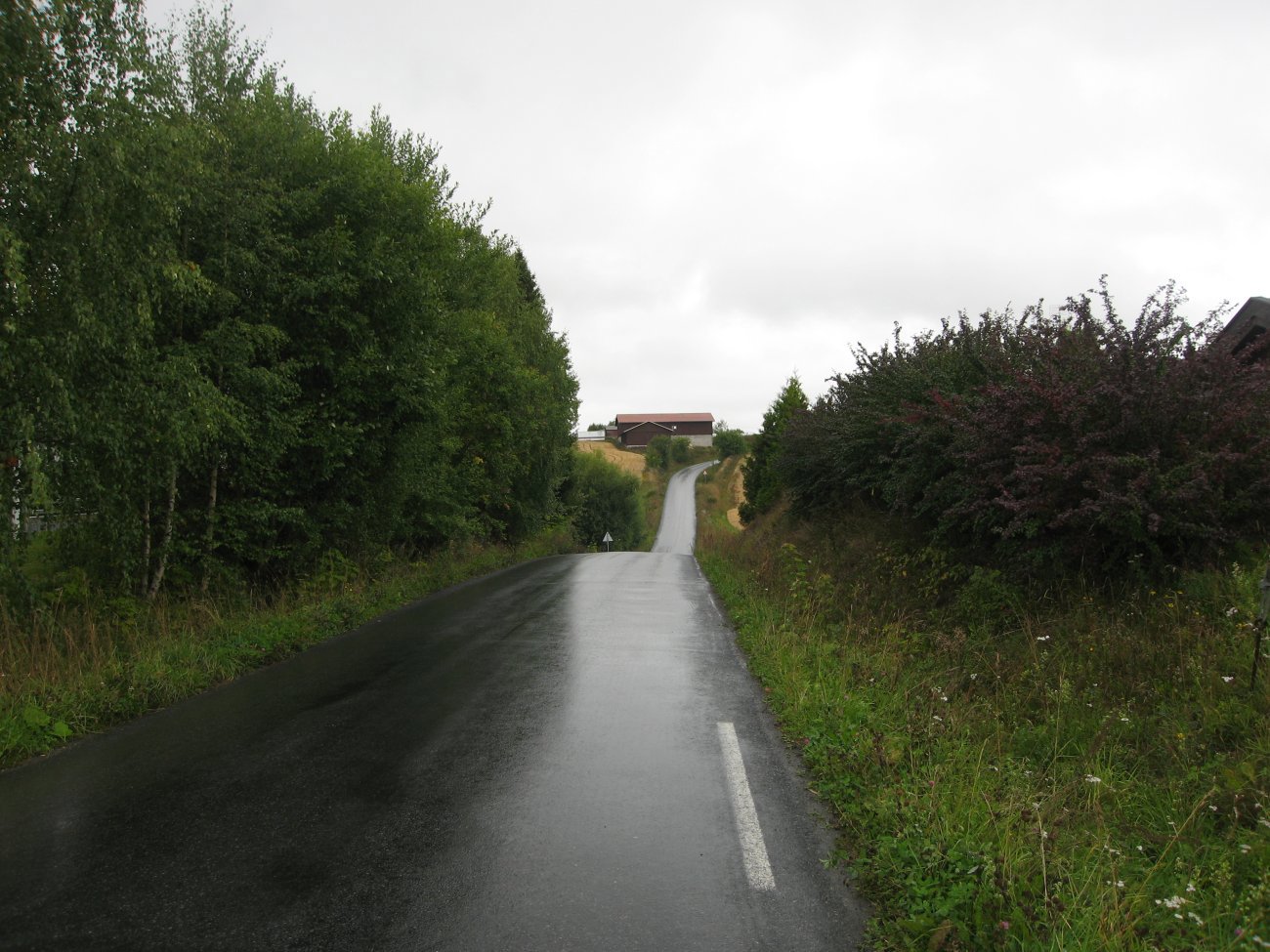 Her begynner den gamle kongevegen på Lunner