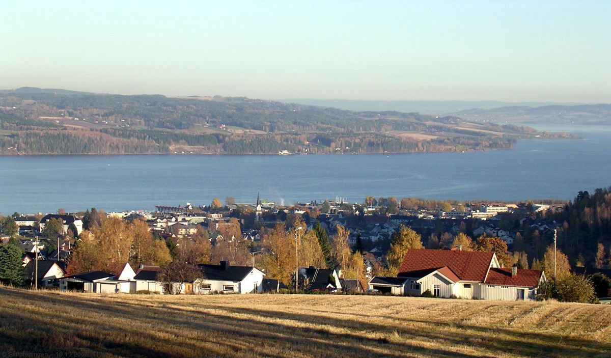 Her har alle et søskenbarn