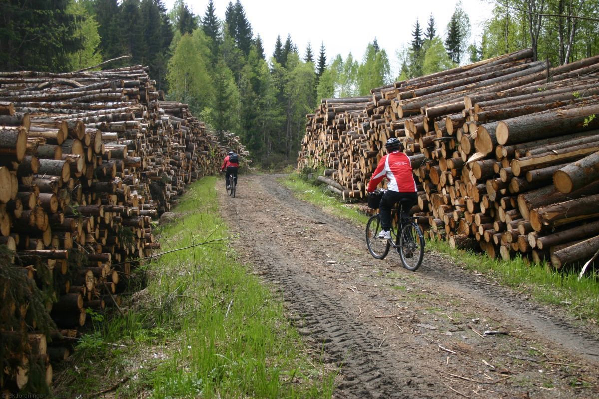 Her lukter det tømmer