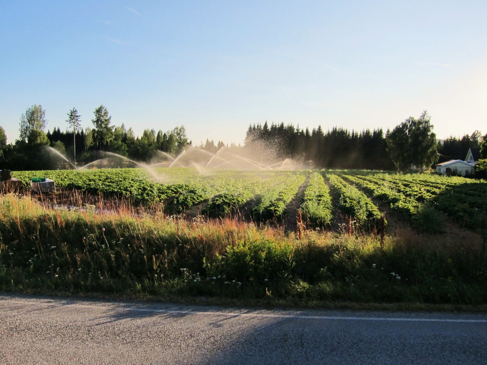 Her må det vann til