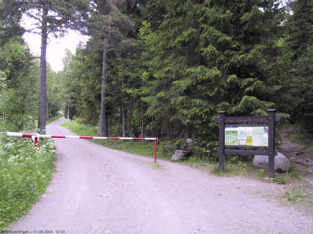 Herfra går det bare en vei - oppover