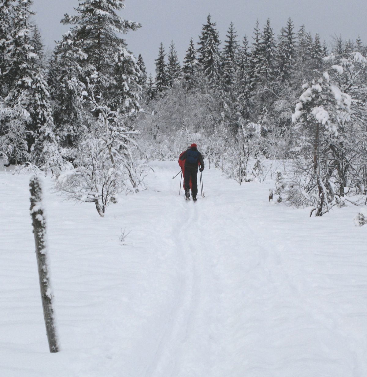 Herlig i den upreparerte løypa over Triungsvann