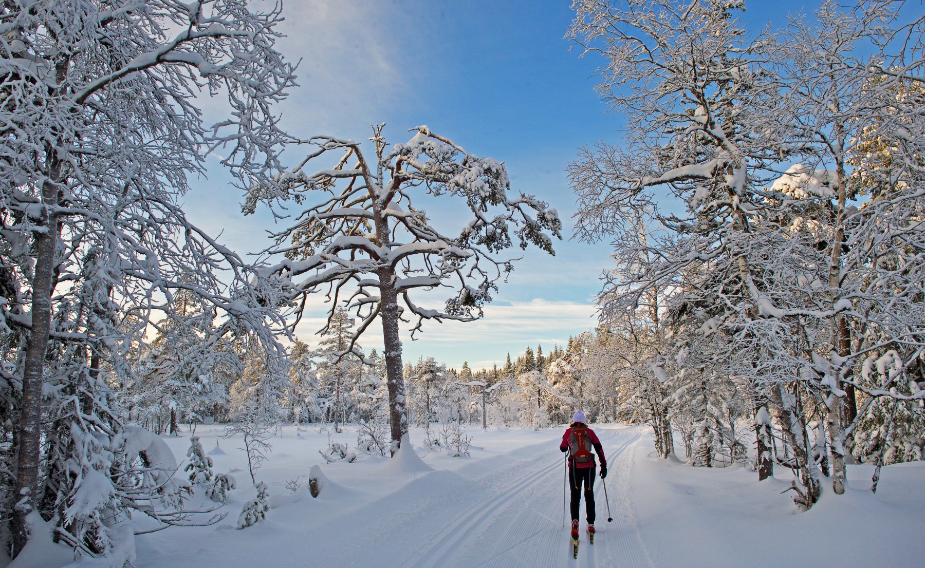 Himmel eller helvete?