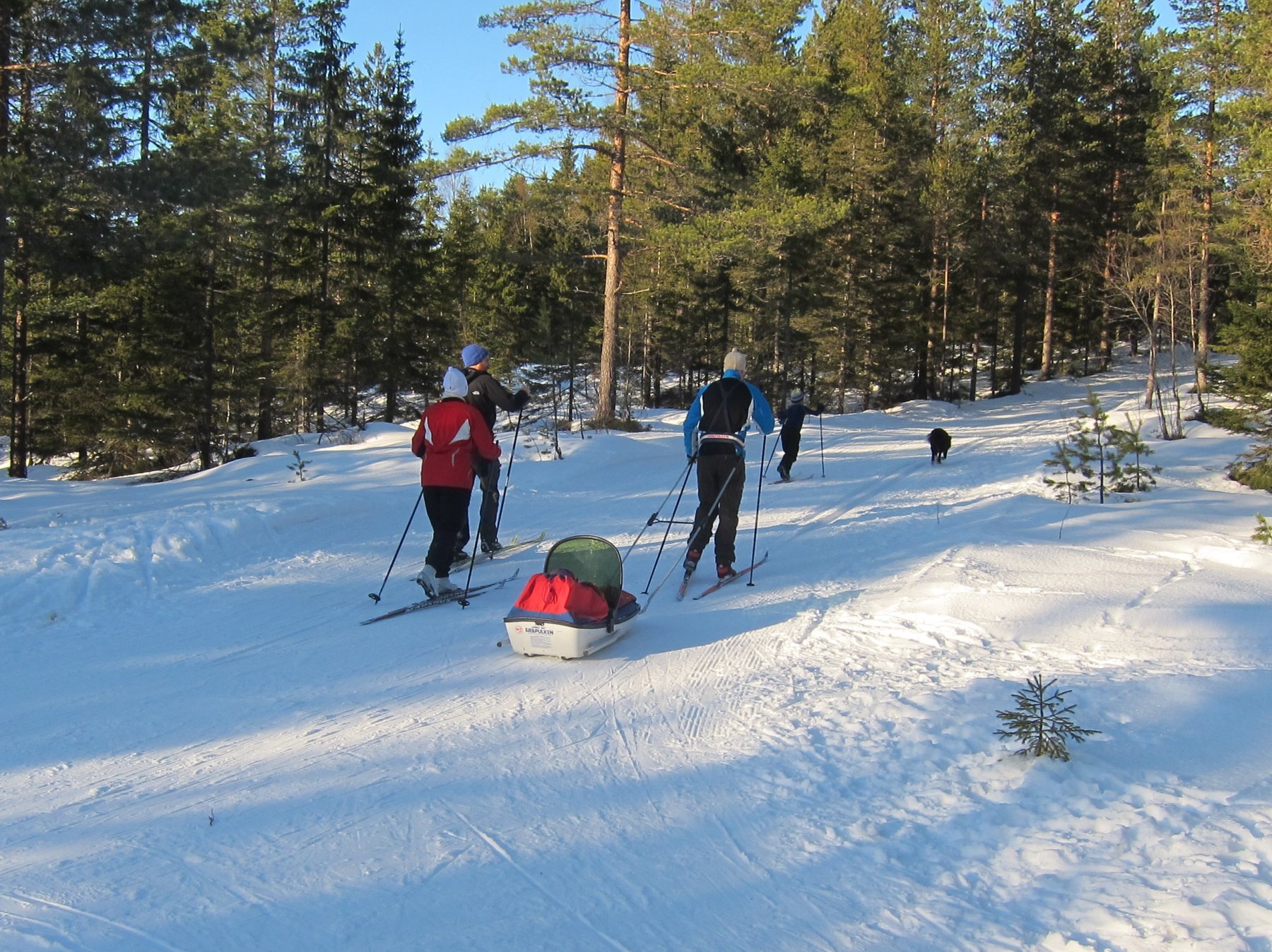 Hjemover ved Delebekken