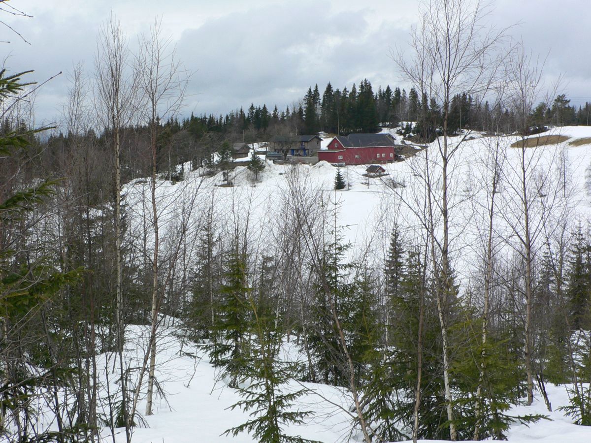 Høgnes med Grasbergtjern i forgrunnen
