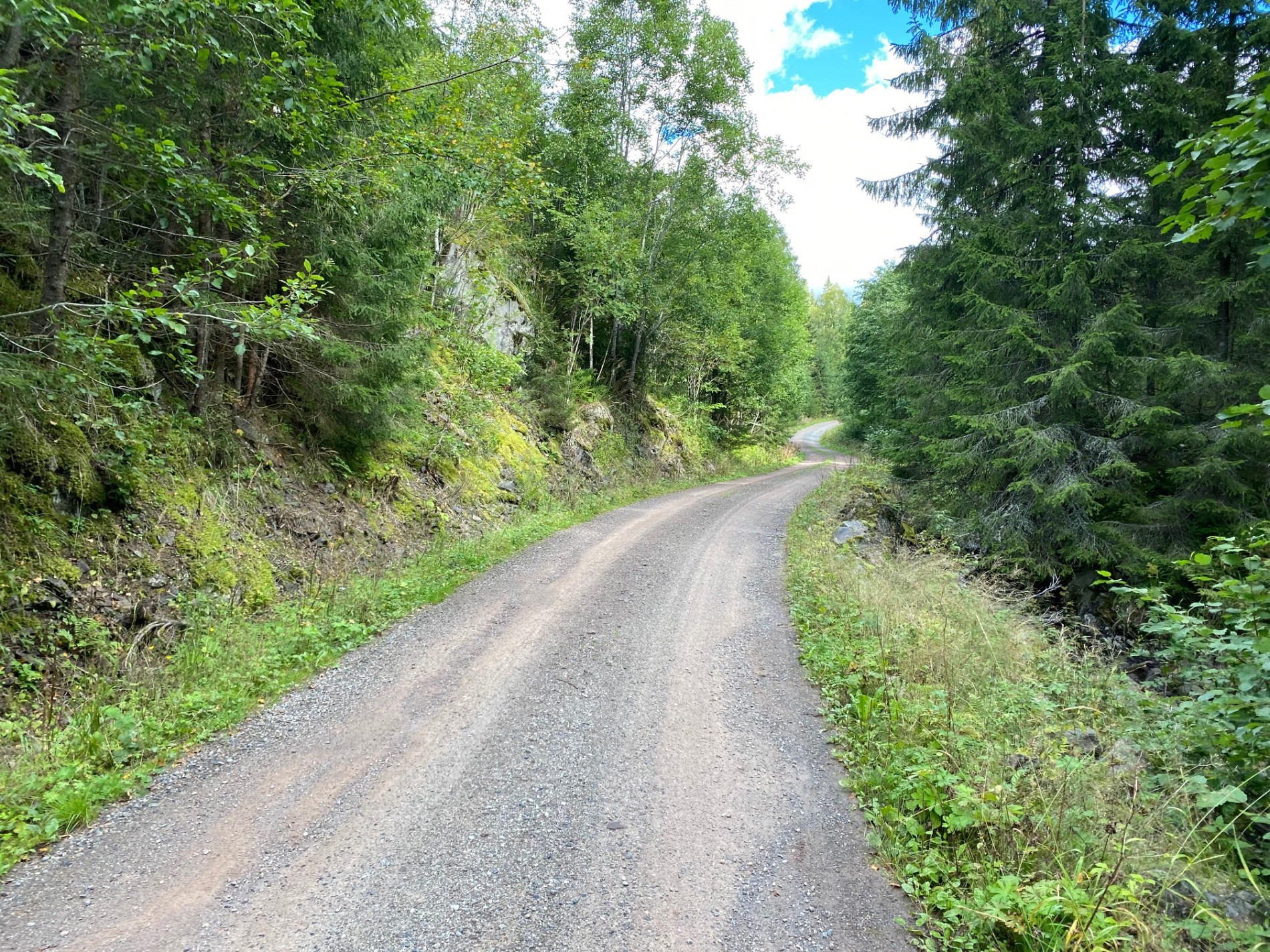 Homledalsveien er flott vedlikeholdt