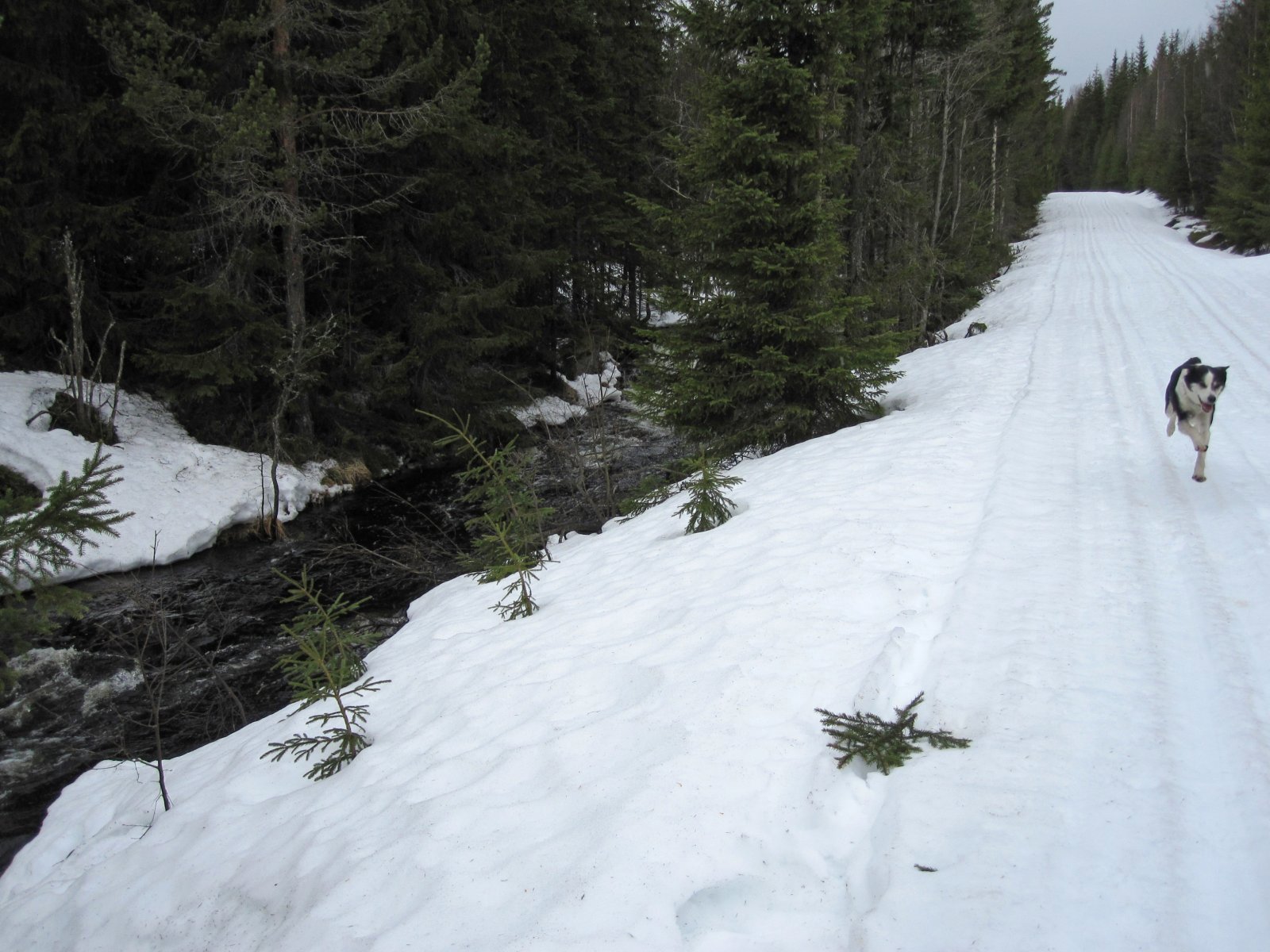 Hopper høyt av glede