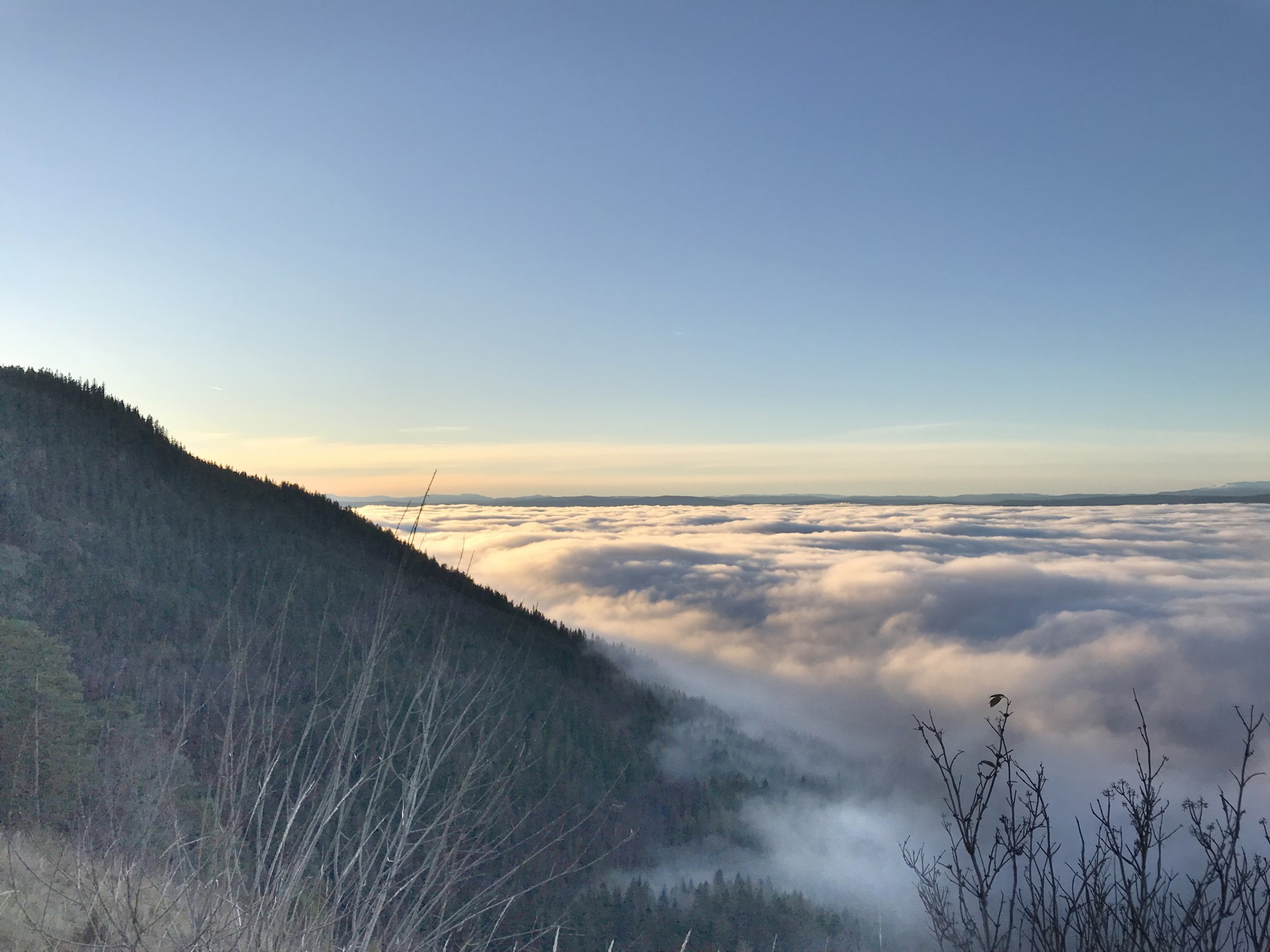 Høst, og Holebygda ligger i tåka
