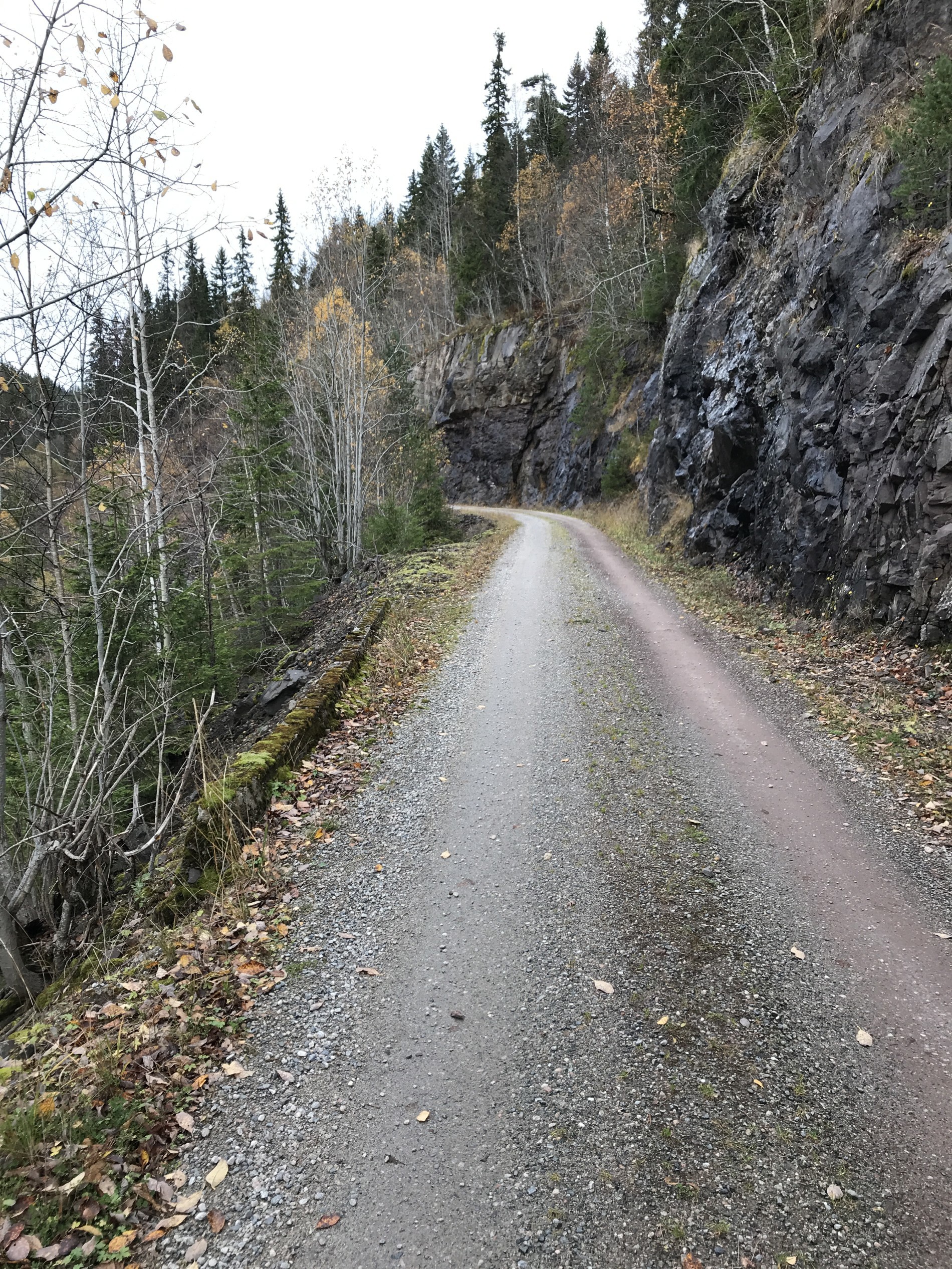 Høst på Homledalsveien
