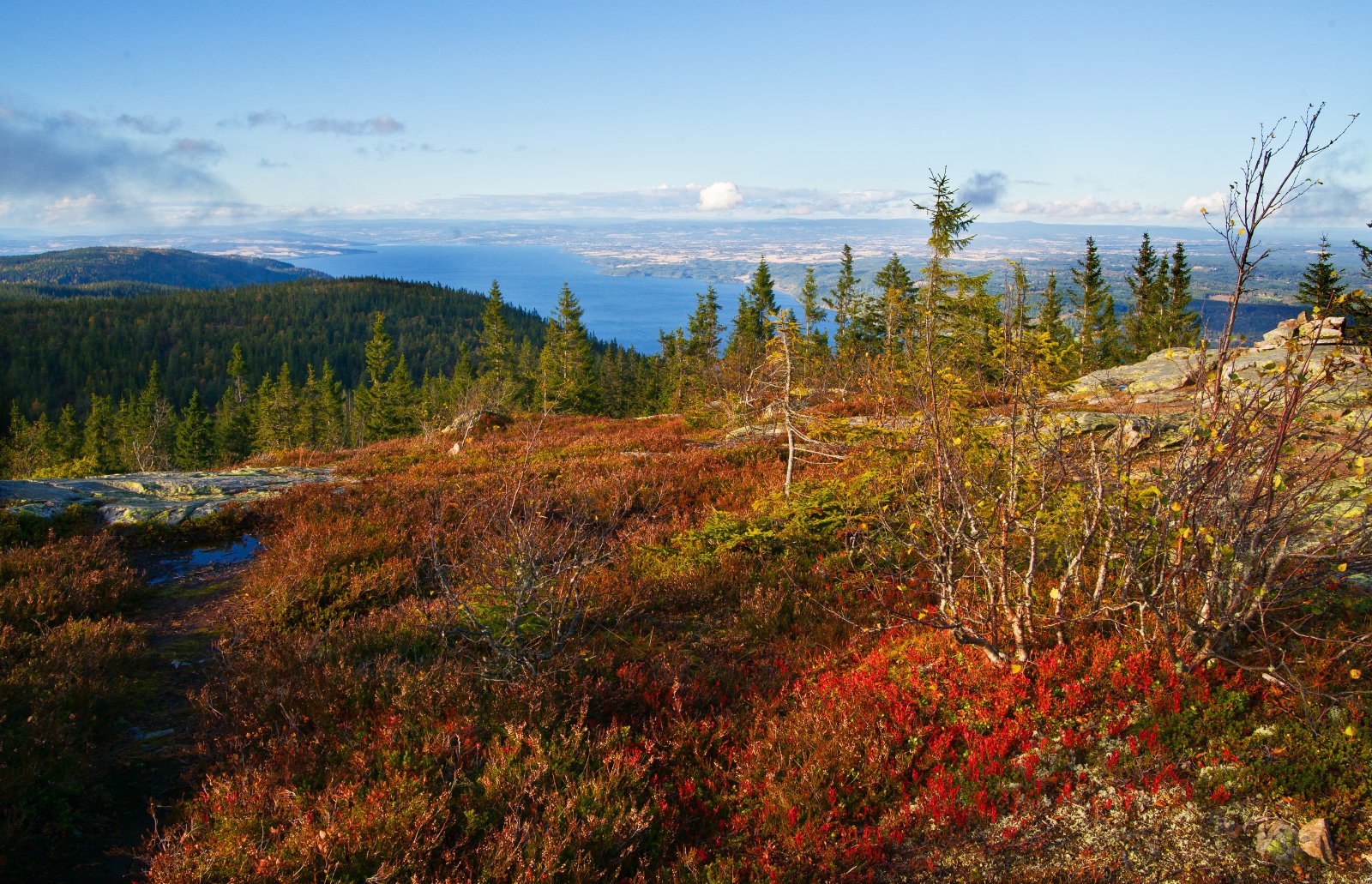 Høst på Skreikampen