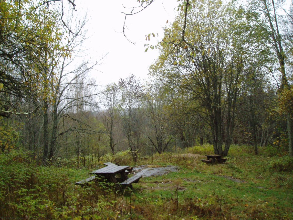 Høst ved Gullsmeden