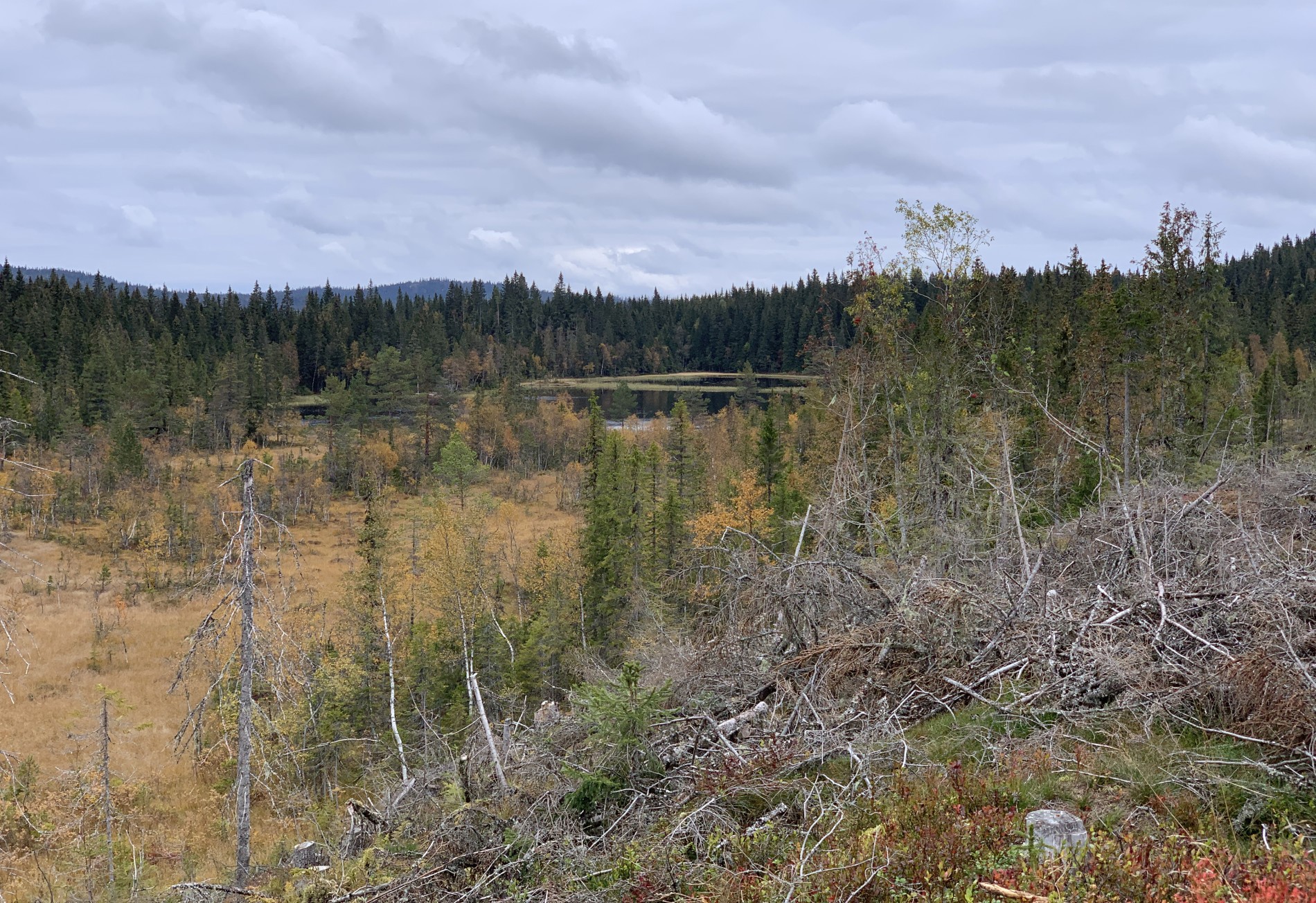 Høst ved Stubdalstjern