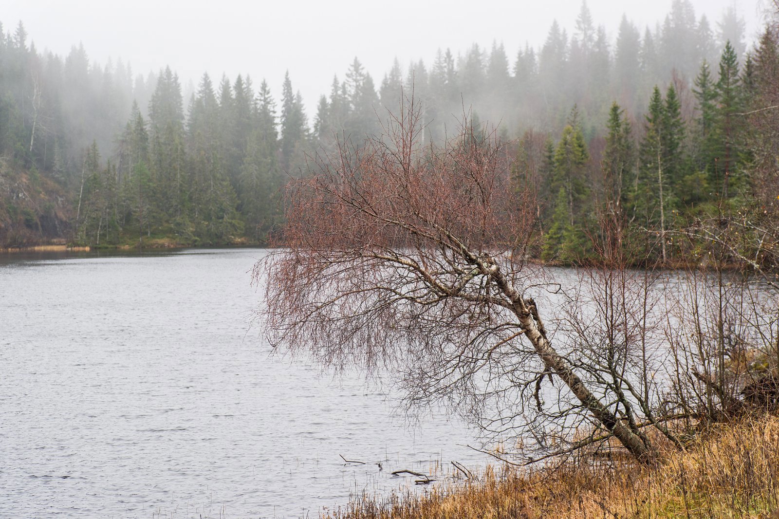 Høsten i sluttfasen?