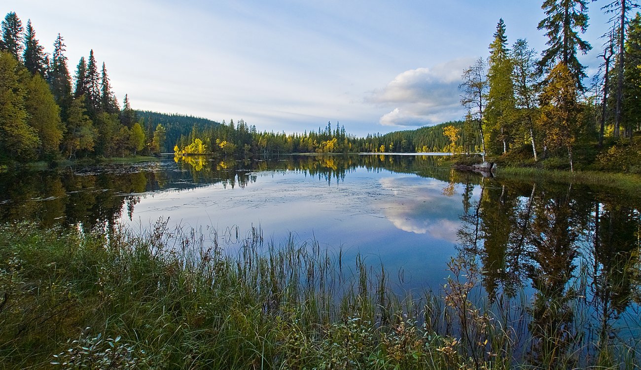 Høstkveld ved Spålen