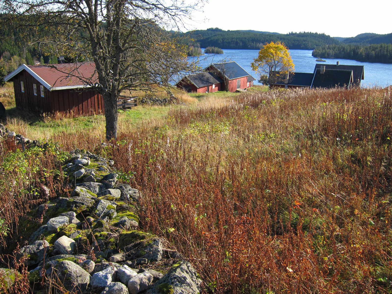Høstlig ved Heggelia