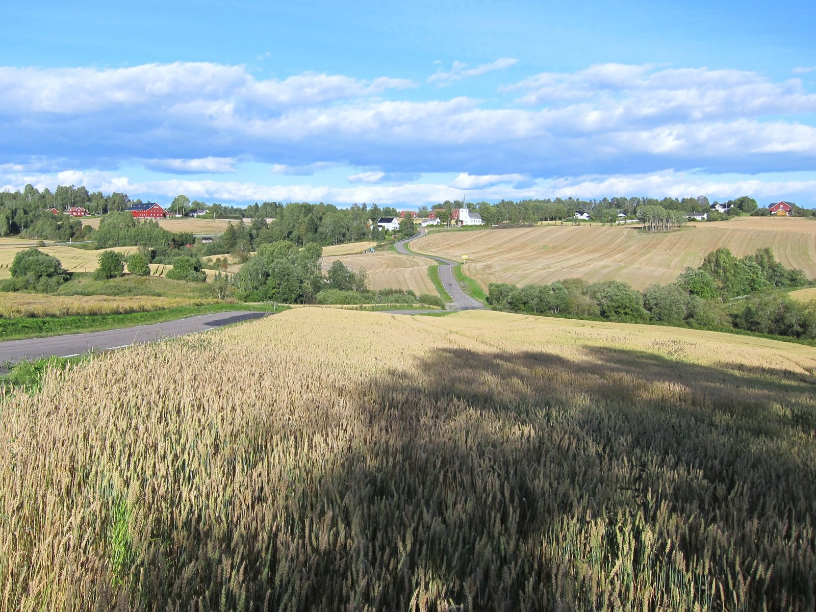 Høstningstid ved Kroer