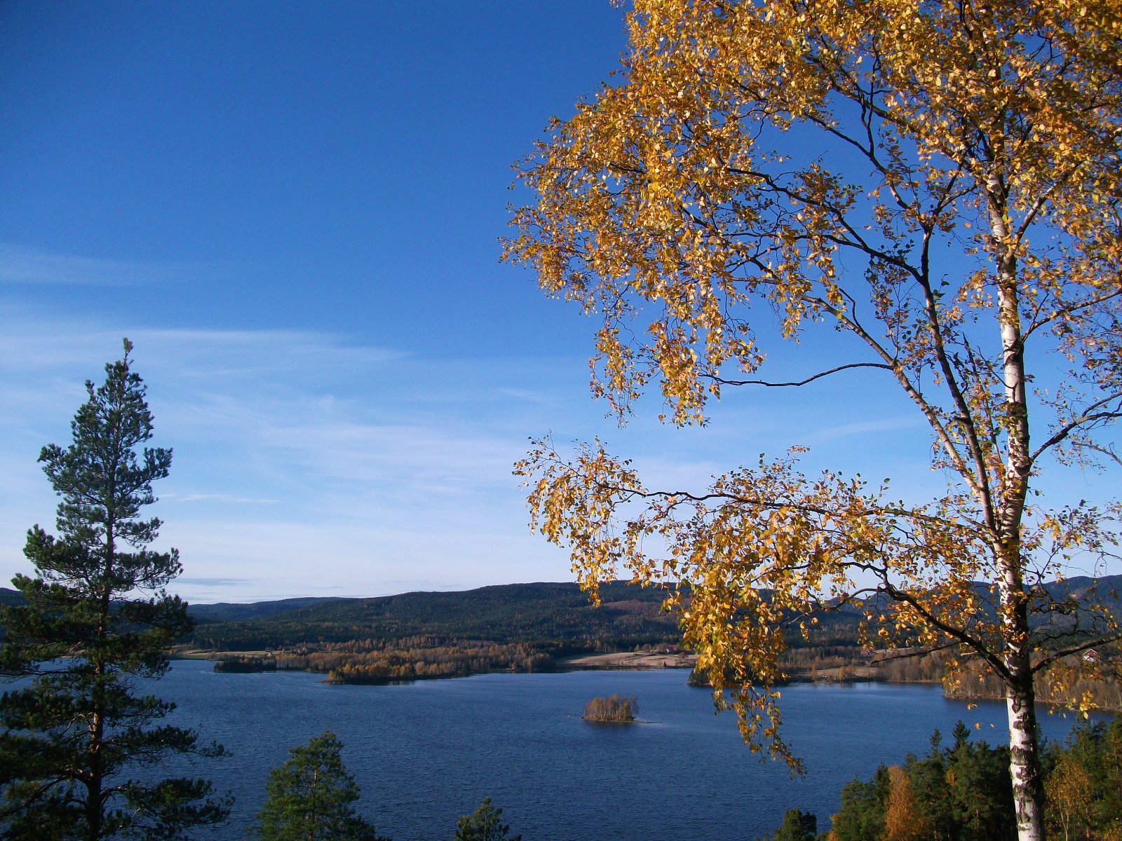 Høstopplevelse ved Maridalsvannet