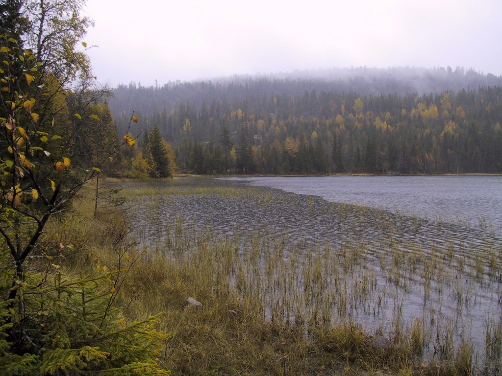 Høstregn ved Store Sinnera
