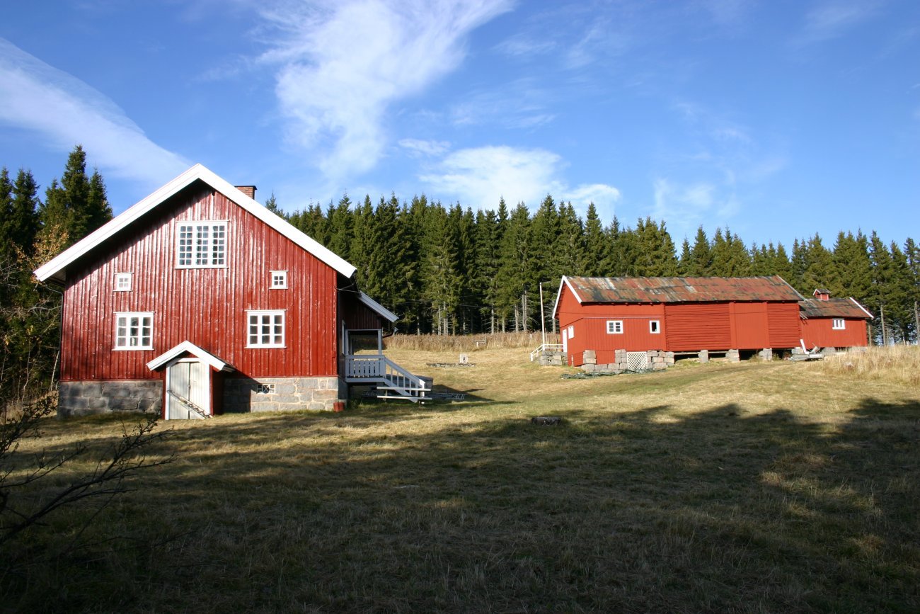 Høstsol på Elgstøa