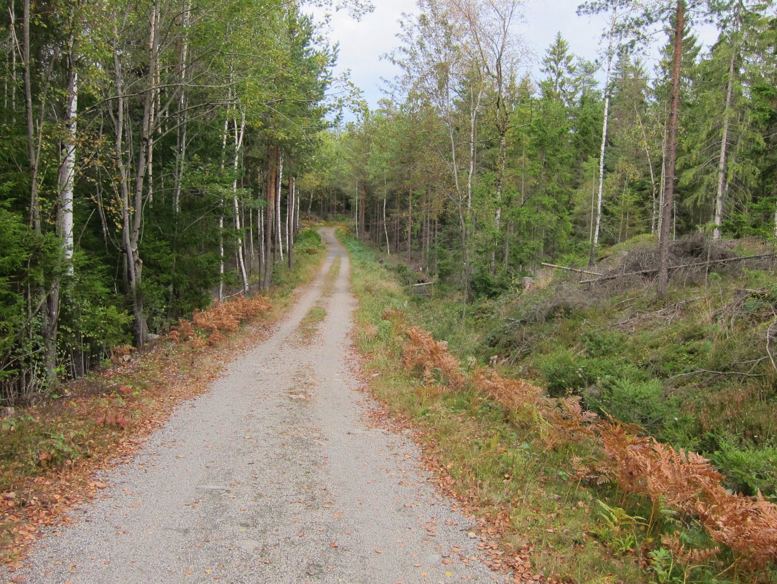 Høsttur i Mossemarka