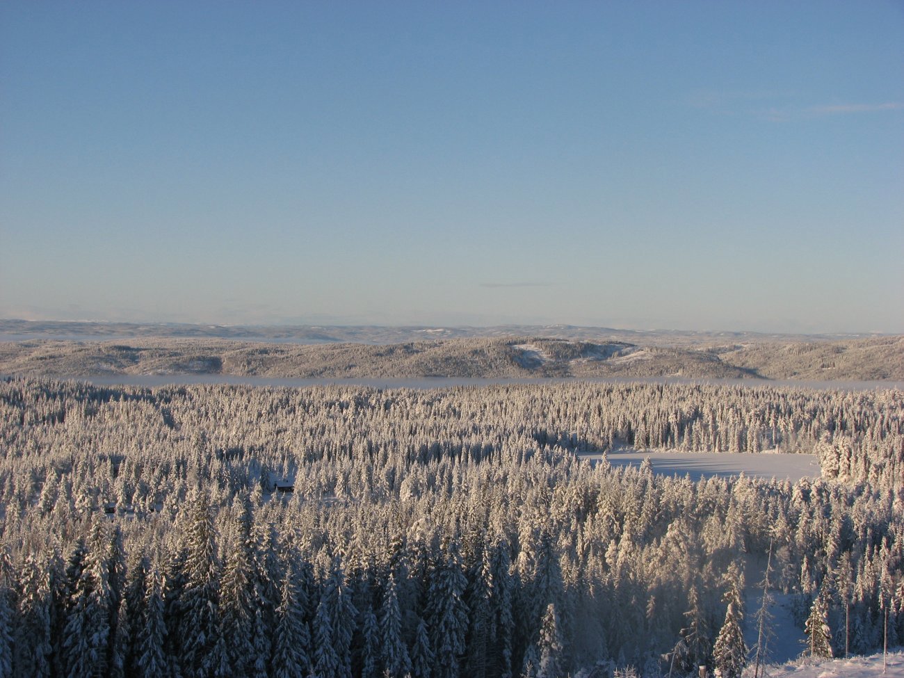 Høyt over tåka på Kjølvegen