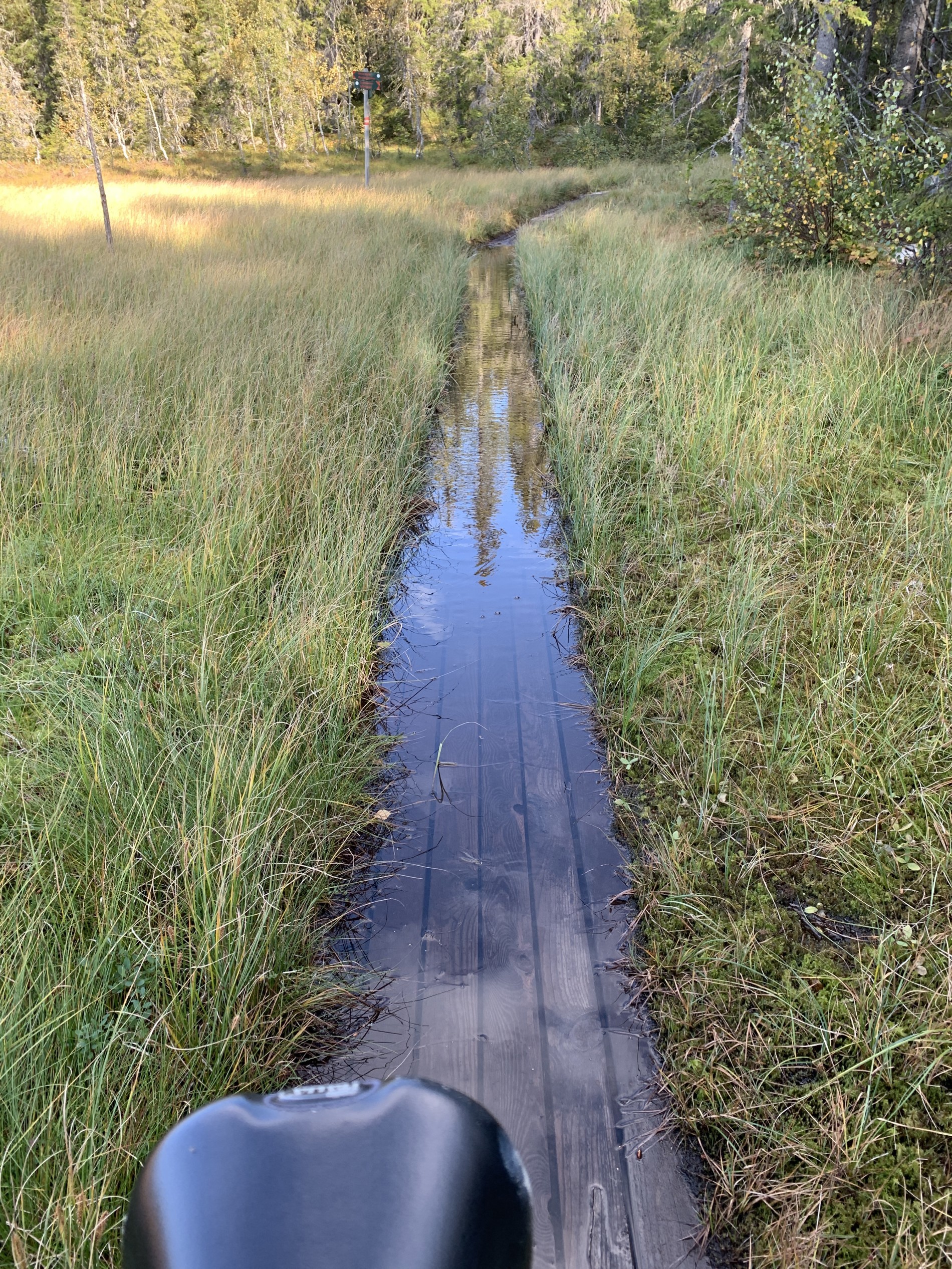 Høyvann ved Steinbutjern