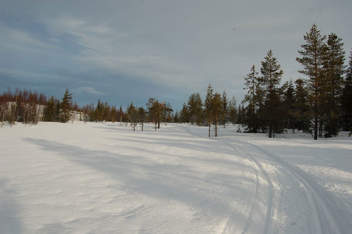 Hundeløypene på Romeriksåsen