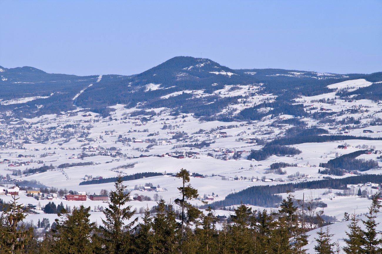 Hvalebykampen sett fra Nordmarka