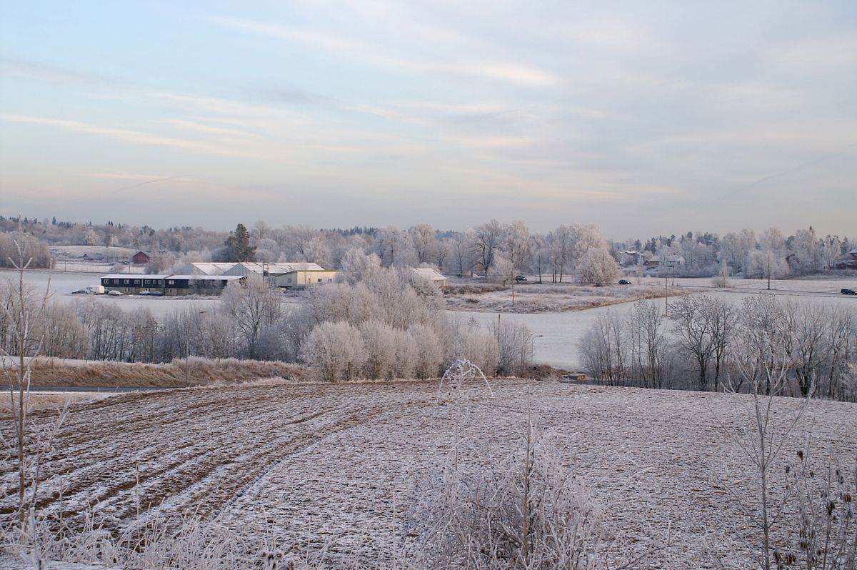 Hvitt, men snefritt vinterlandskap