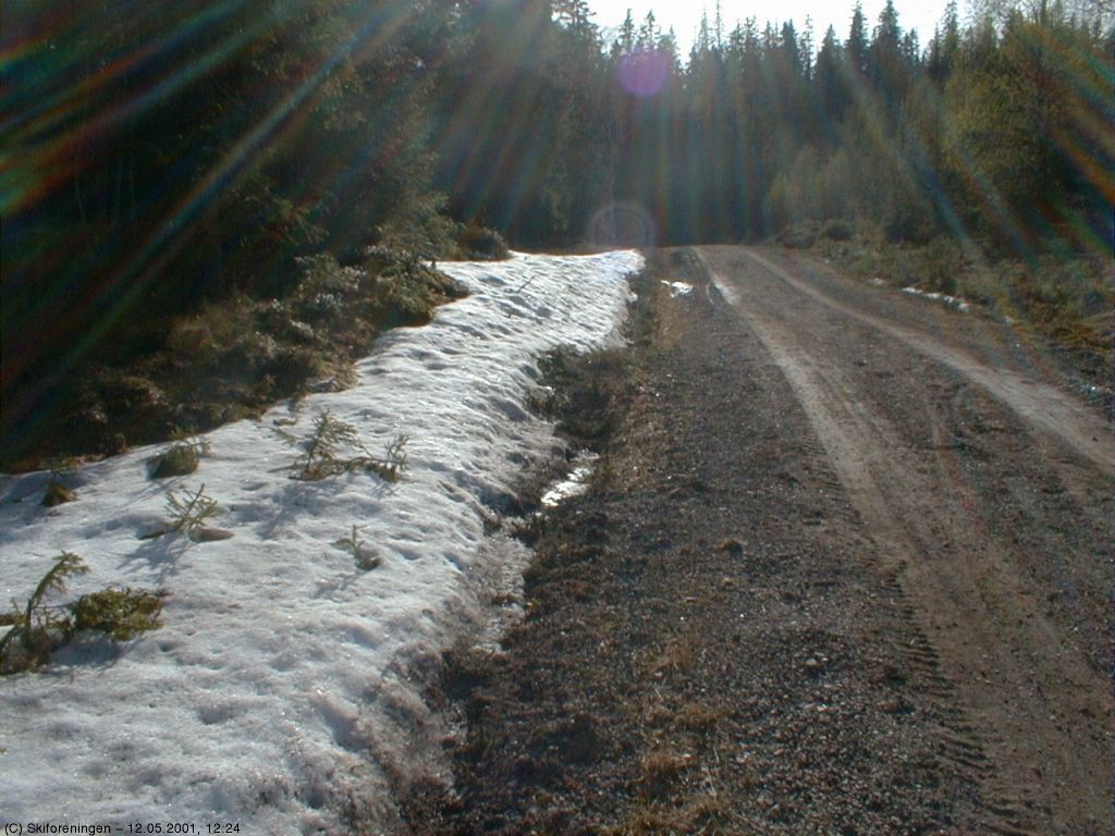 Hvitveis ved Nordmarkskapellet