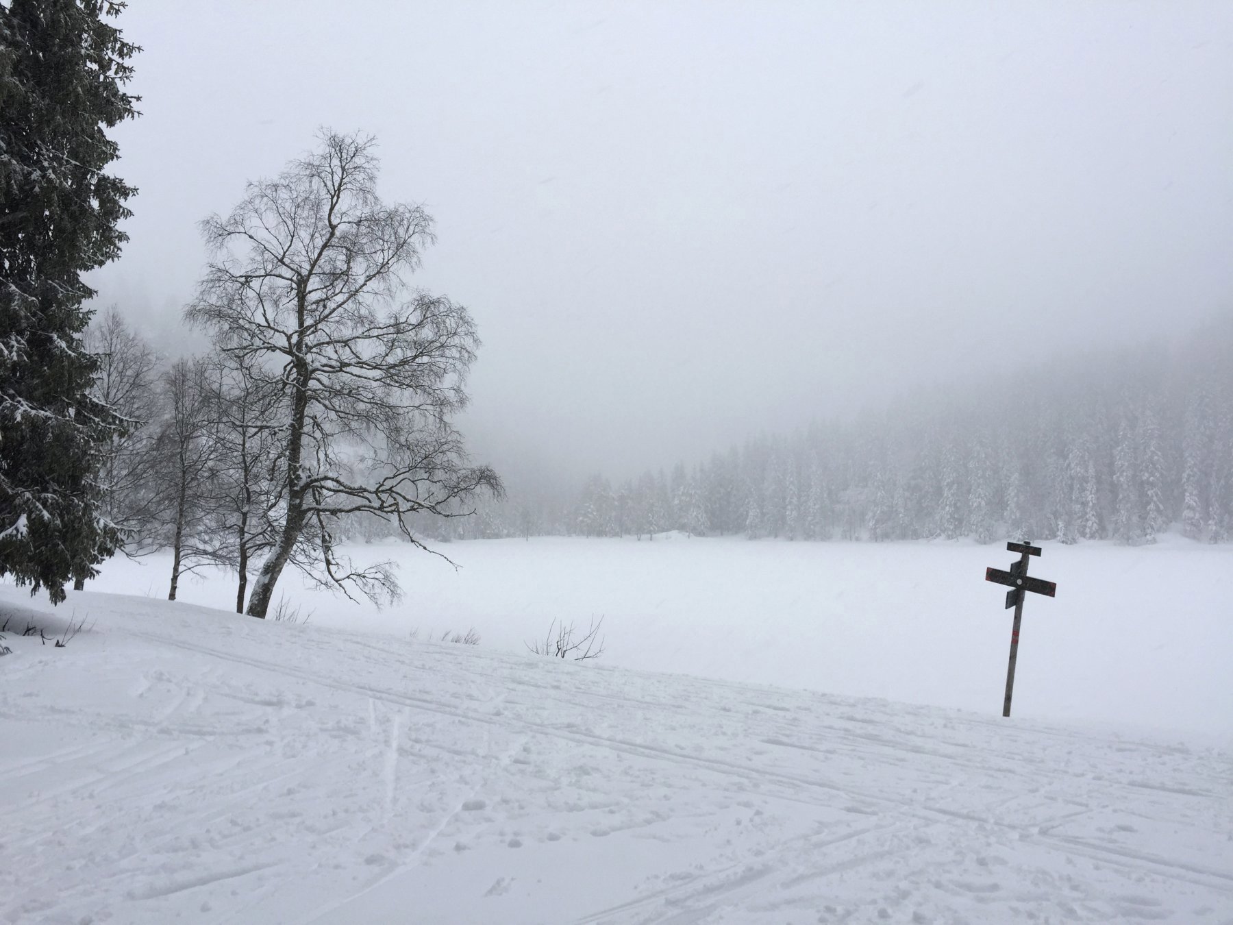 Hvor ble det av sporet?