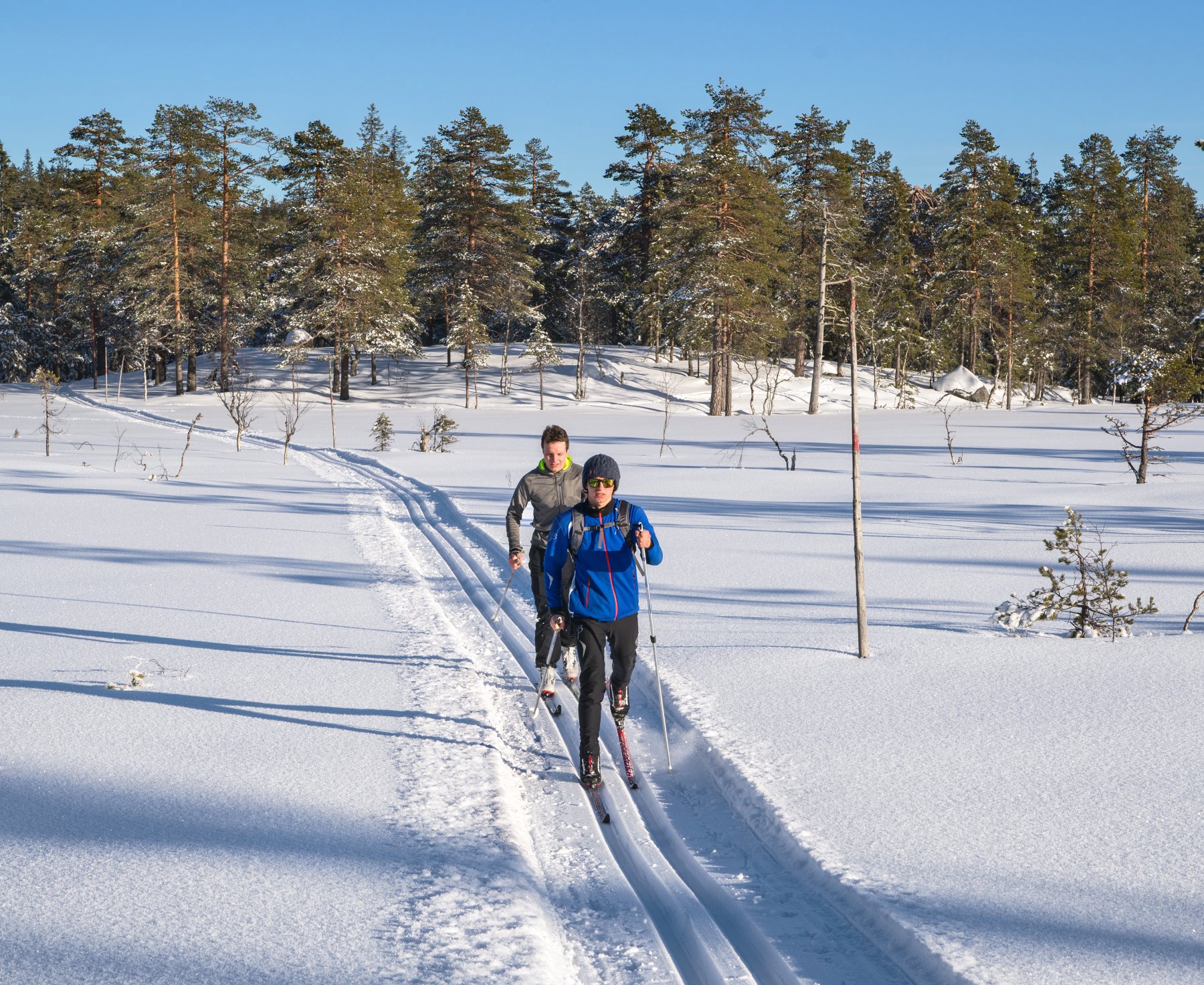 I fin stil over Fuglemyra