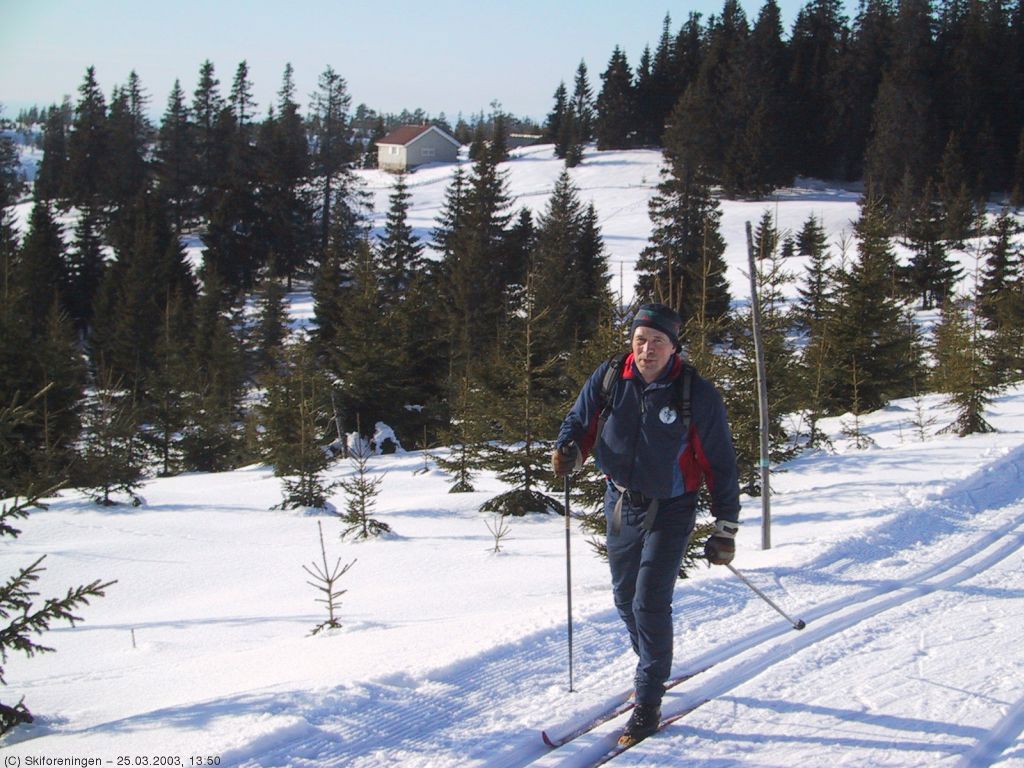 I fint driv ved Svera på løypa syd for Lygna
