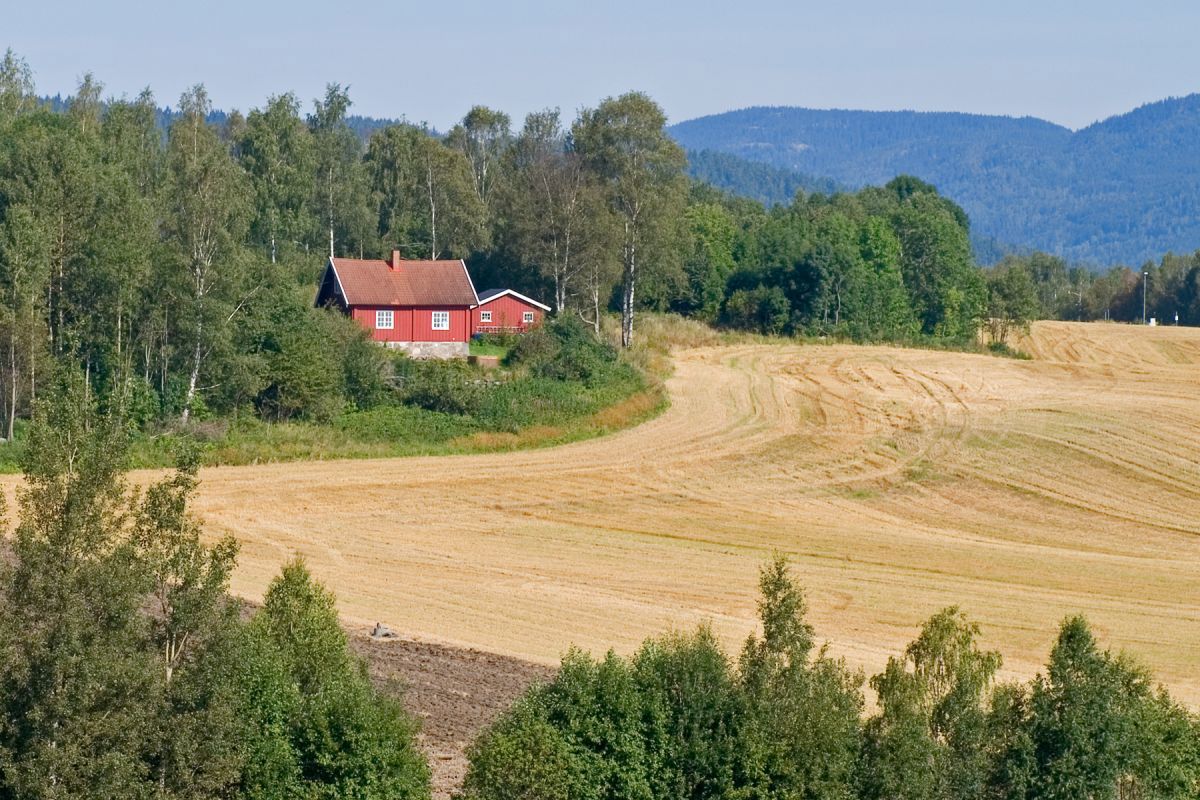 I grenseland mellom åker og skog