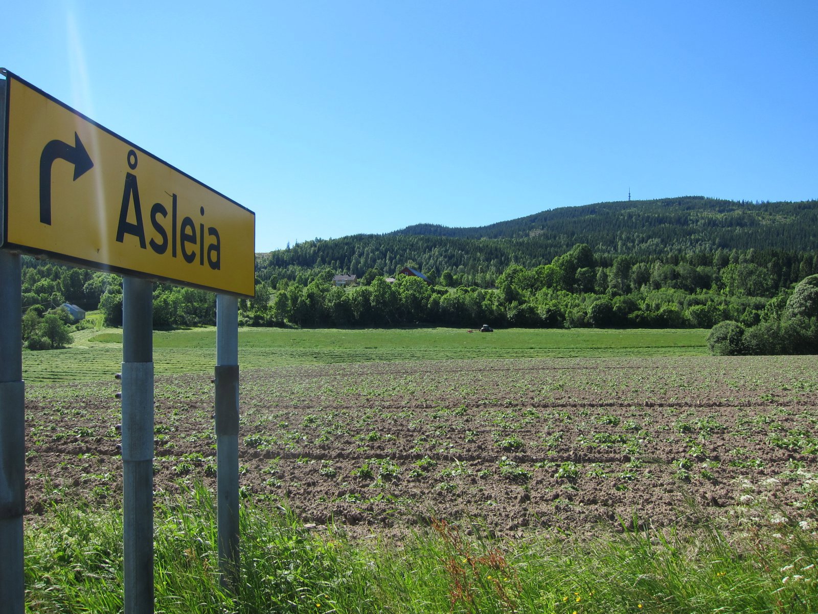 I kulturlandskap under Mistberget
