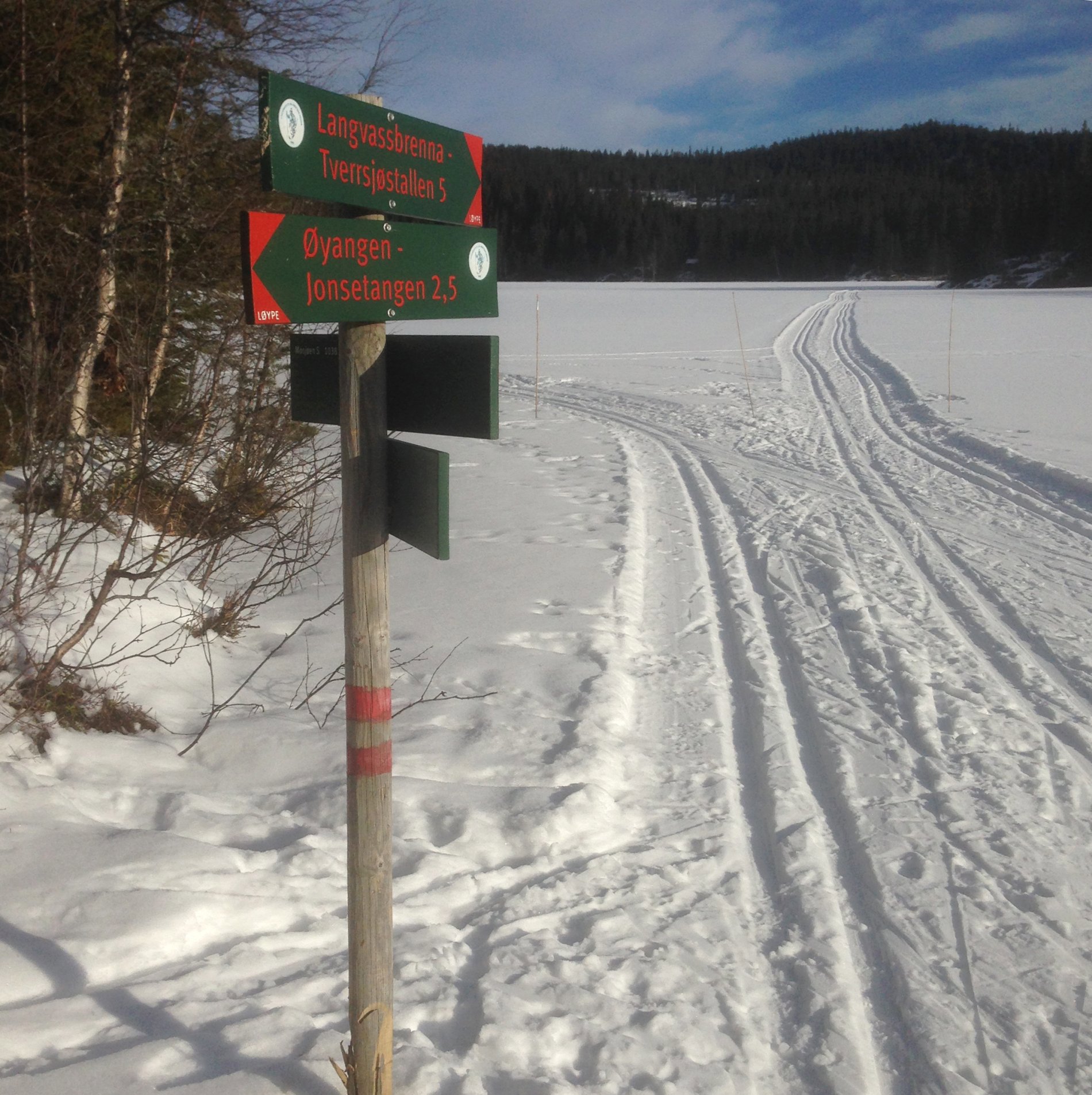 I løypekrysset på Mosjøen