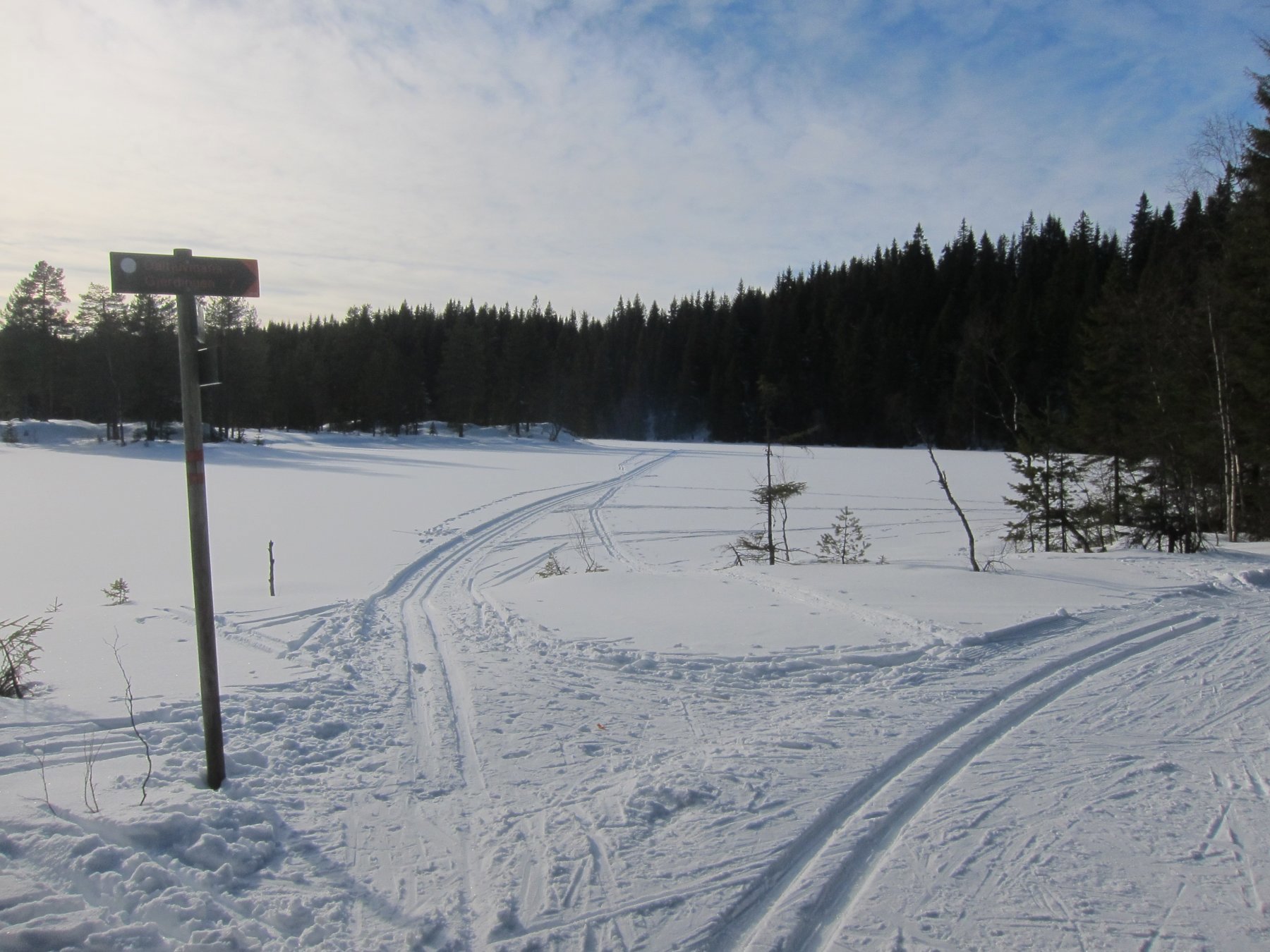 I løypekrysset ved Manntjern