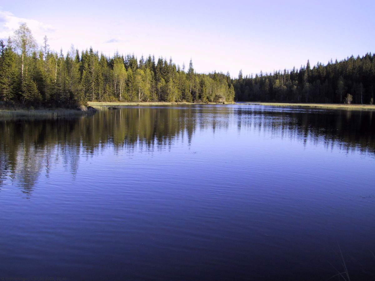 I Nansens jaktmarker