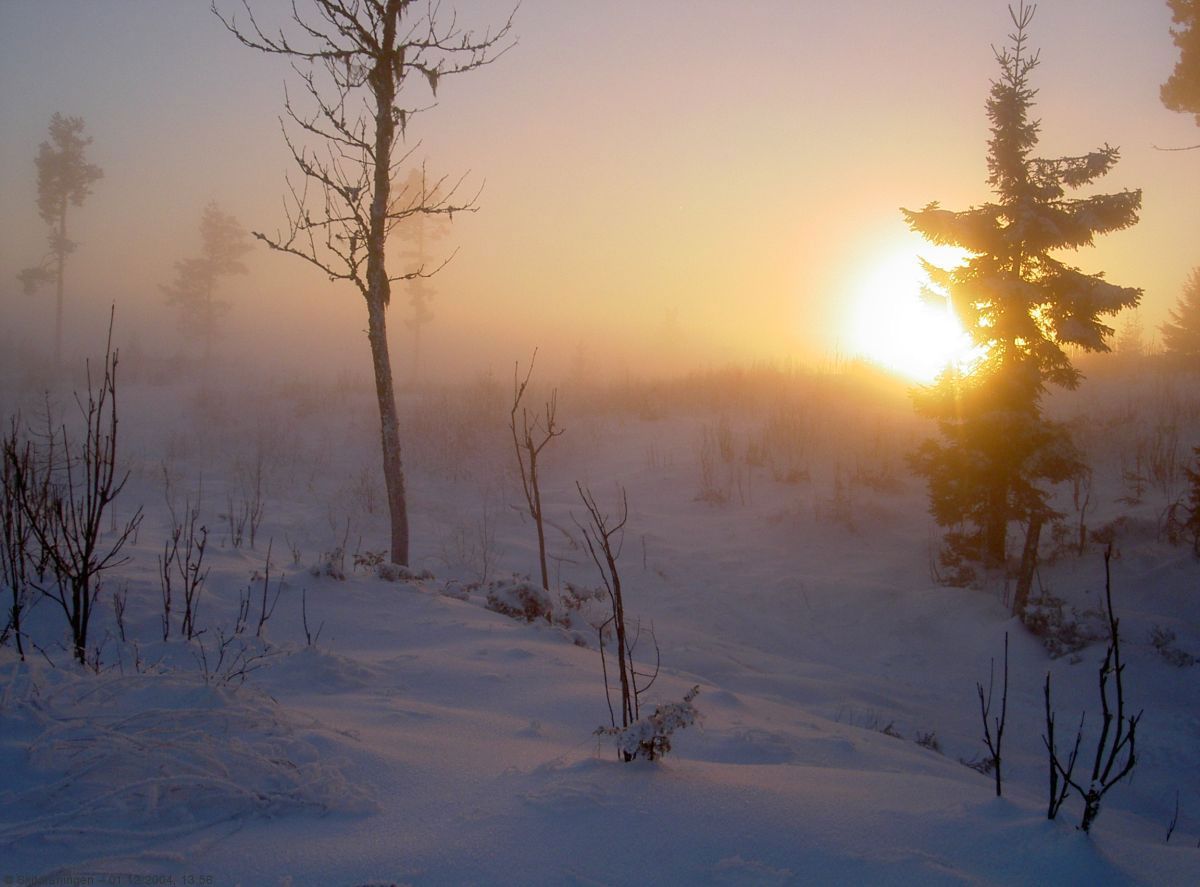 I nærheten av Sørsetra
