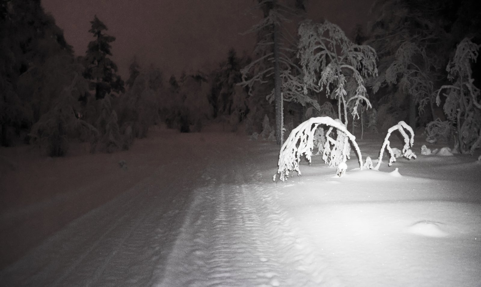 I nattlige scooterspor