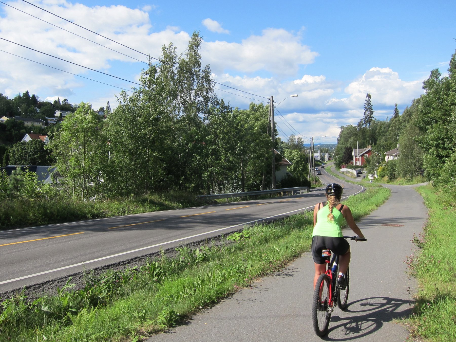 I Nedre Prinsdalsvei