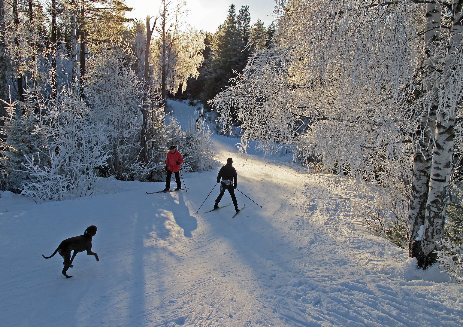 I rim og motlys ned fra Østernvann-demningen
