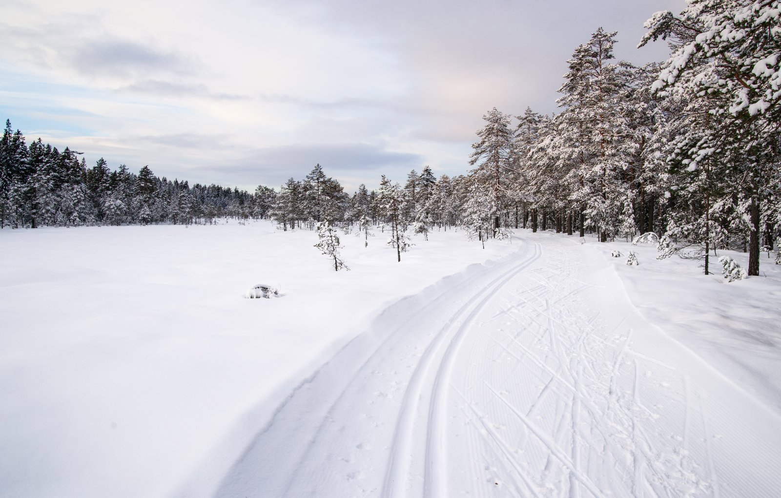 I scooterspor over Overholsmåsan