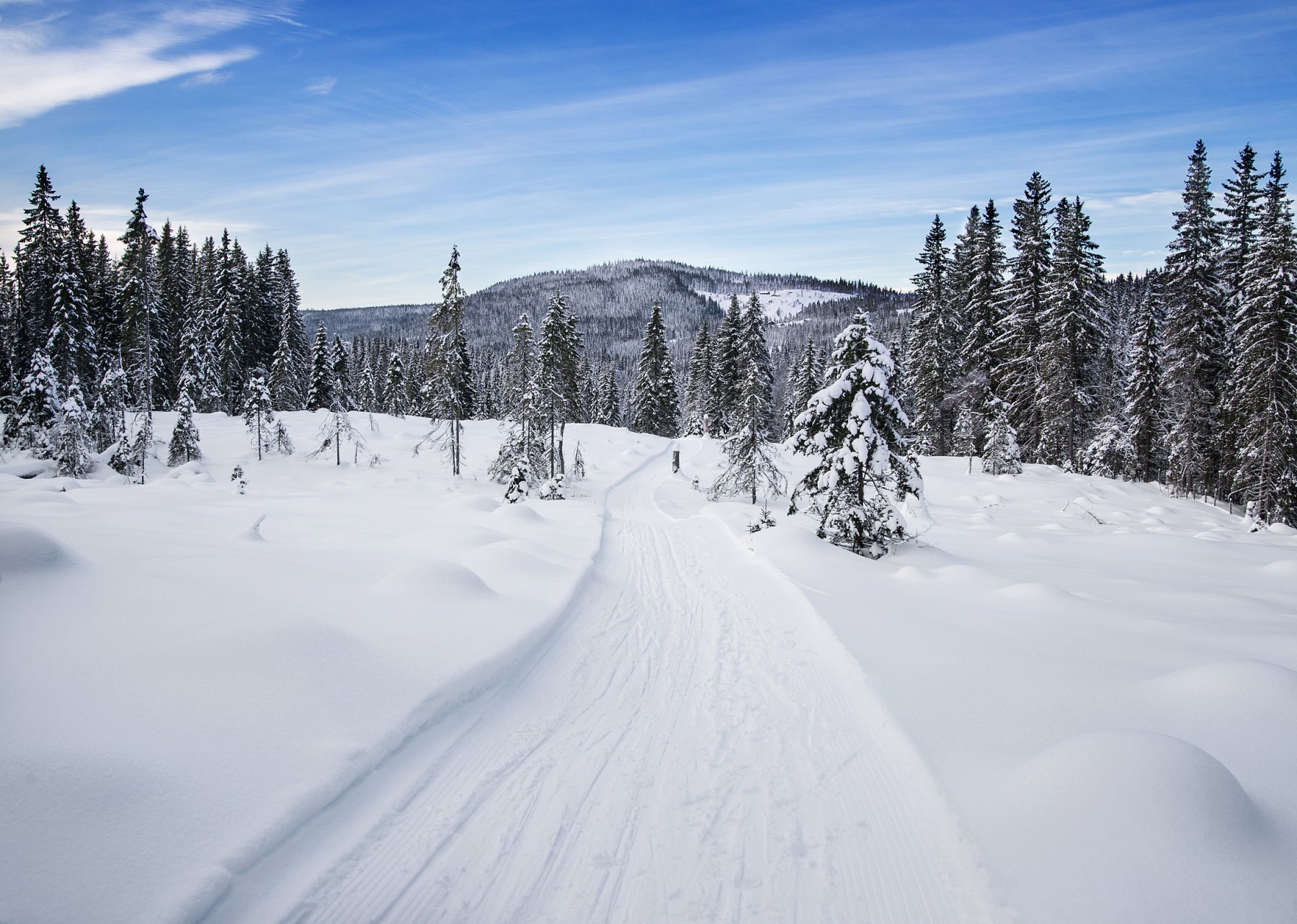 I scooterspor ved Brattvoll