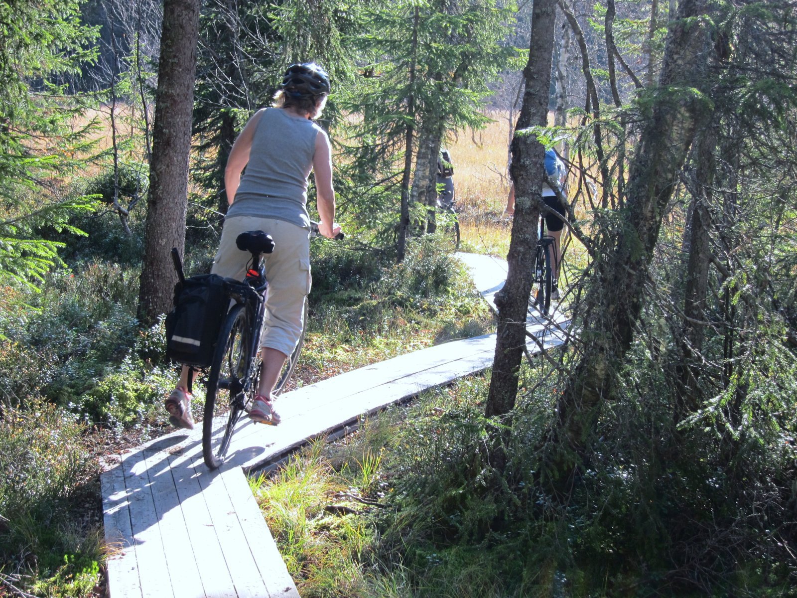 I sikk-sakk mot Steinbutjern