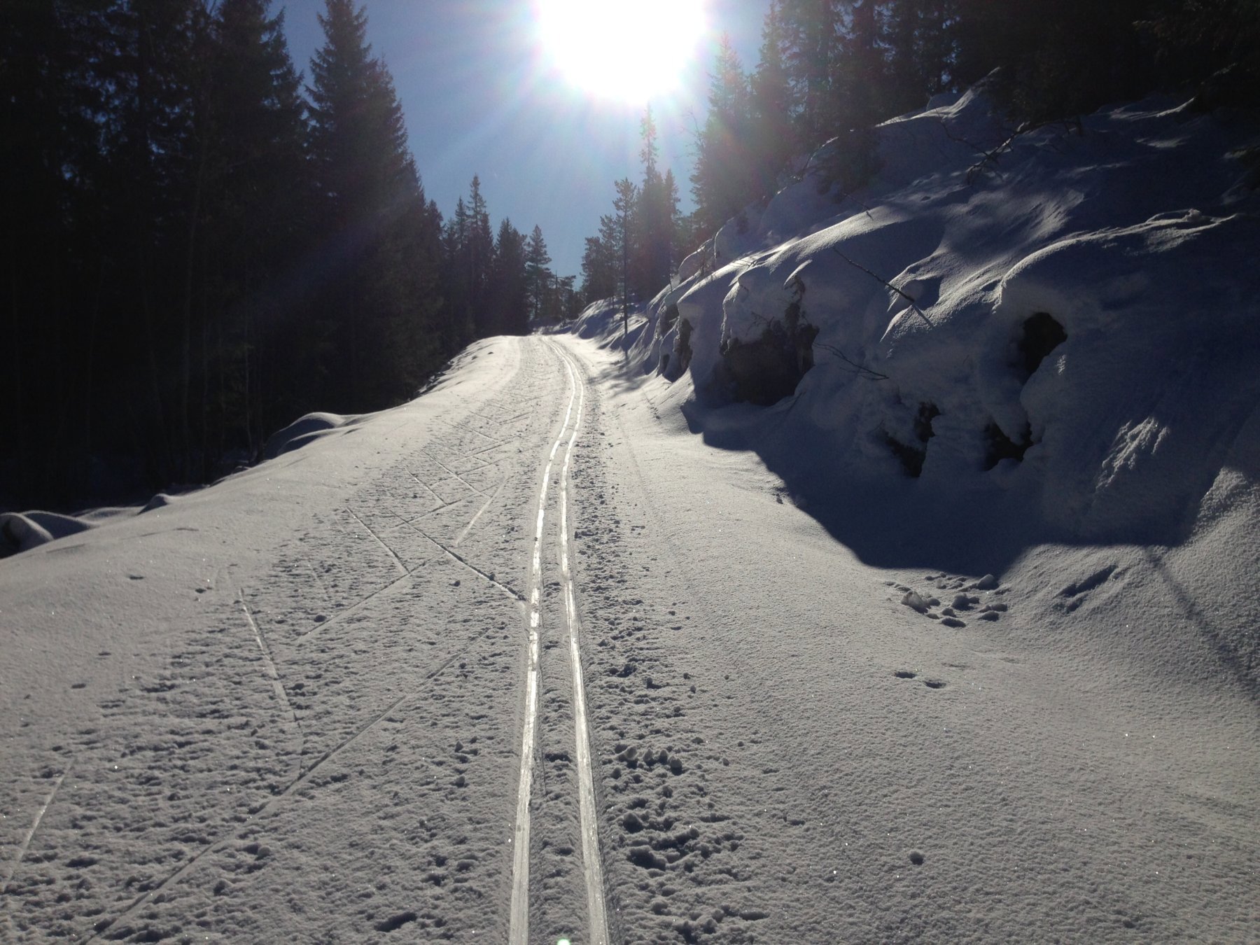 I solen på Spålsveien