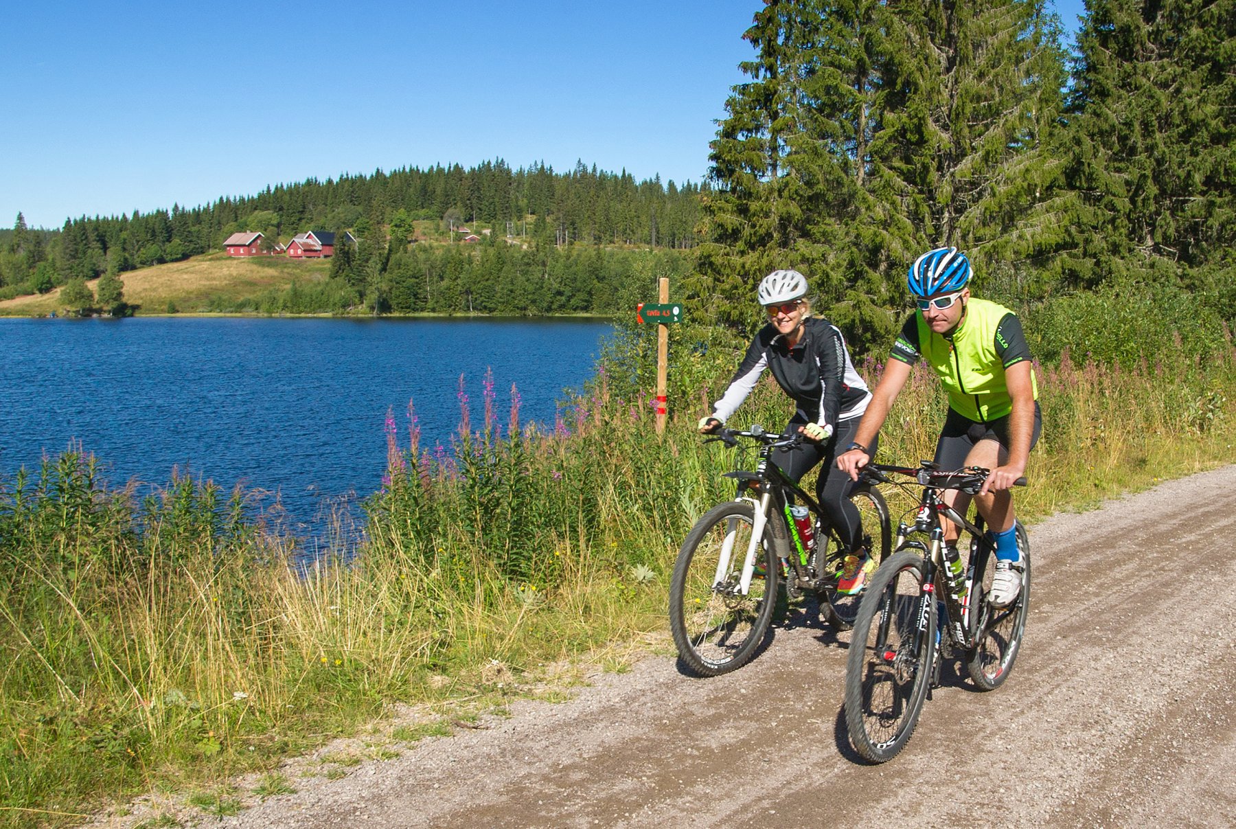 I solskinn forbi Heggelia