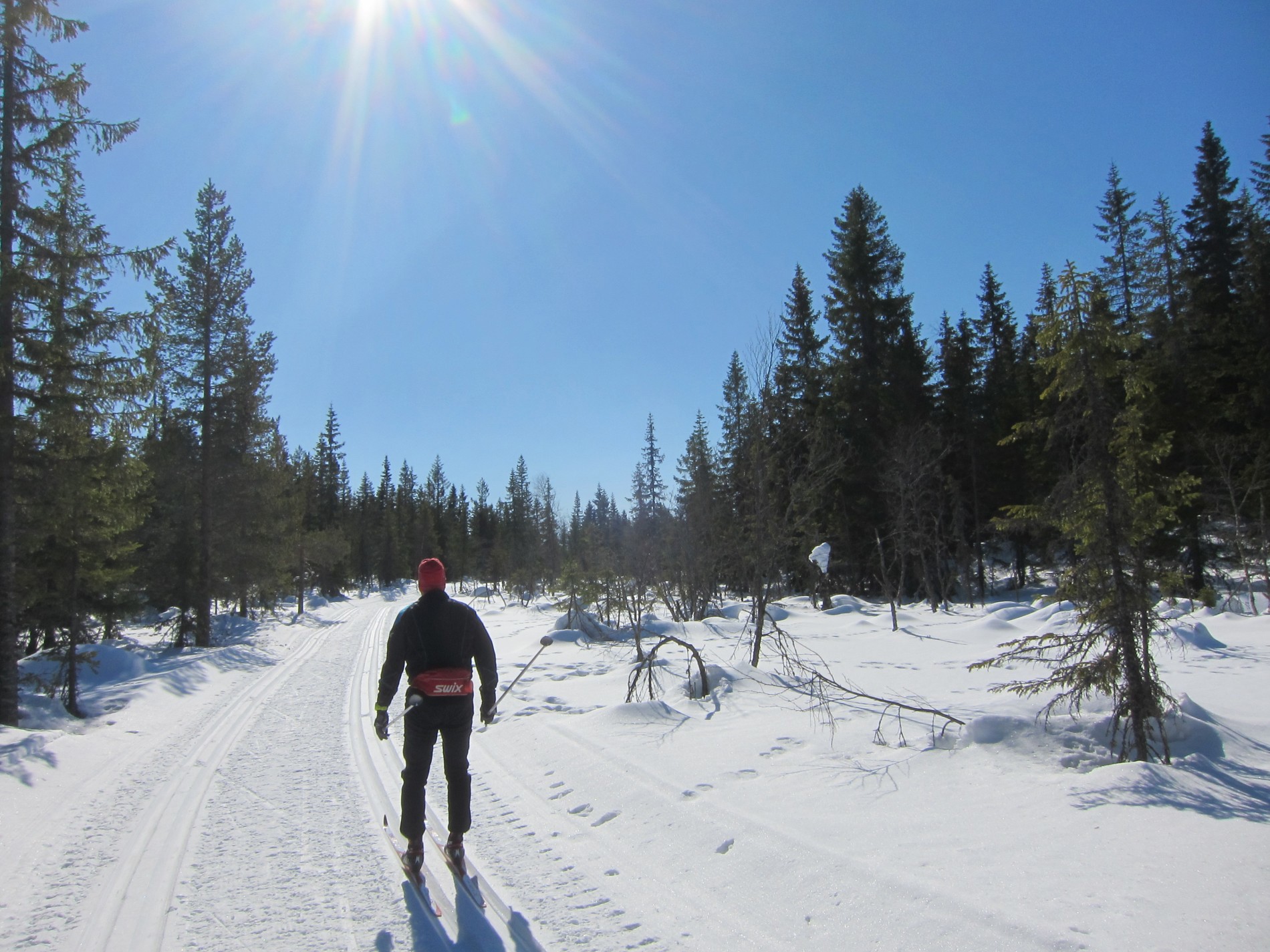 I strålende sol ved Skjellungshøgda